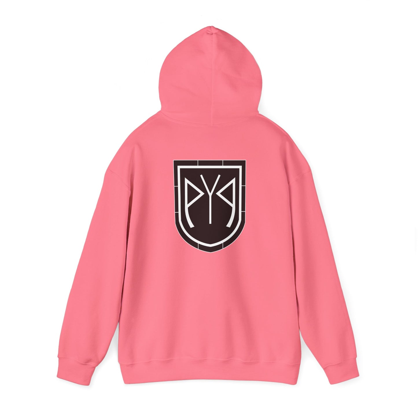 Protect Your Positivity® Unisex Emblem Hoodie