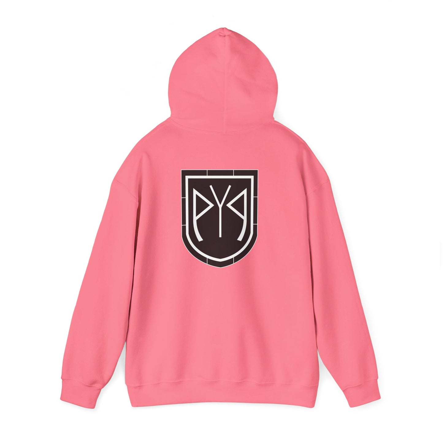 Protect Your Positivity® Unisex Emblem Hoodie